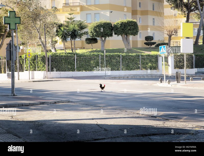 Descubre el mundo emocionante de Chicken Road Juego de Azar en línea en España, chicken road